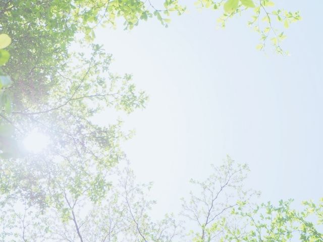 4957017_s.jpg