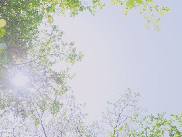 4957017_s.jpg